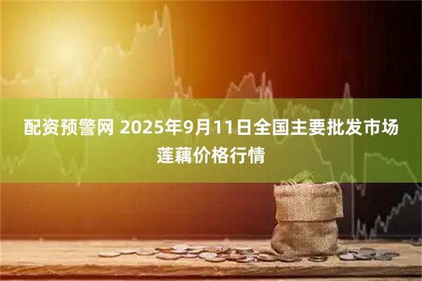 配资预警网 2025年9月11日全国主要批发市场莲藕价格行情